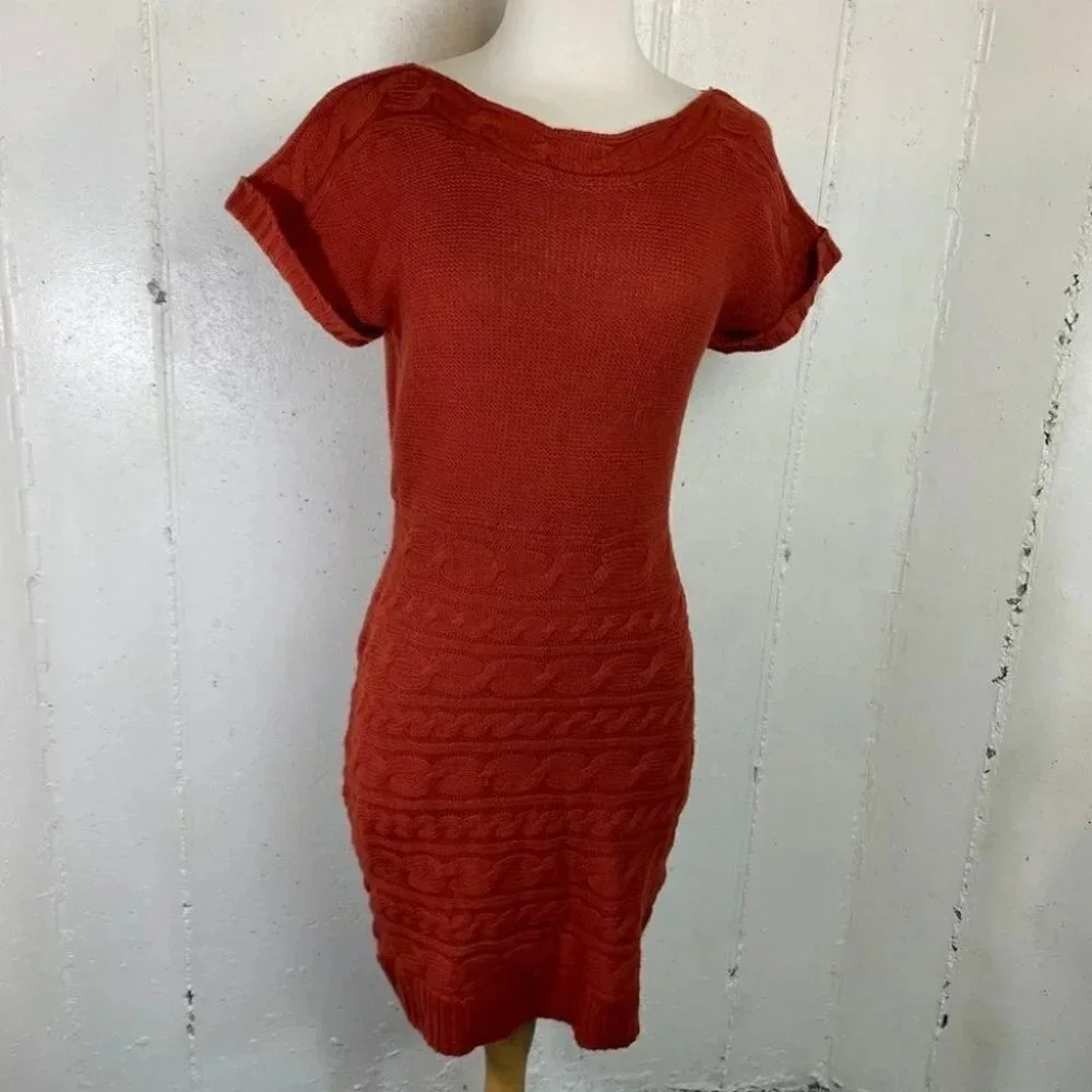 Red Paint L Red short sleeve sweater‎ dress